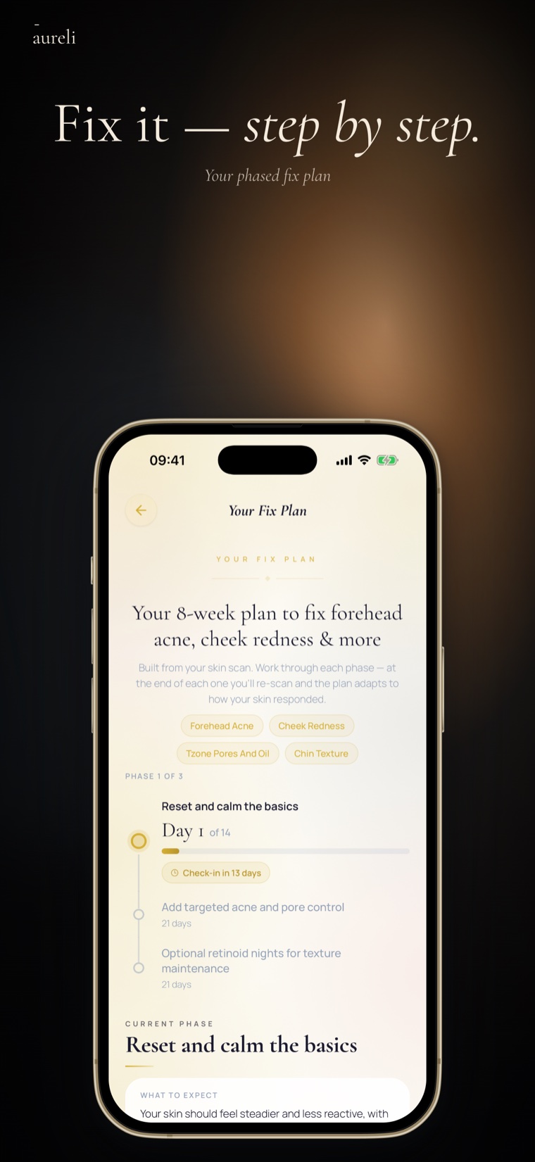 Fix it step by step — Aureli phased fix plan